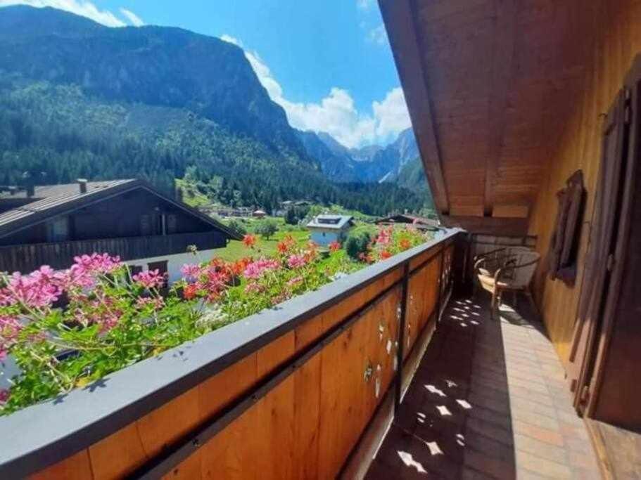 La Mansarda In The Dolomites Jacuzzi Appartement Santo Stefano Di Cadore Buitenkant foto